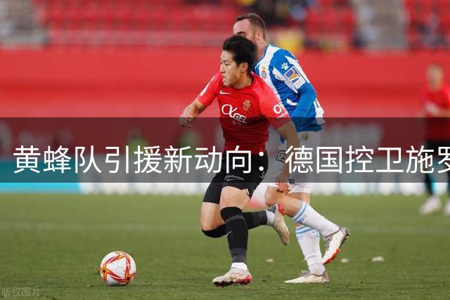 黄蜂队引援新动向：德国控卫施罗德或成夏洛特补强目标